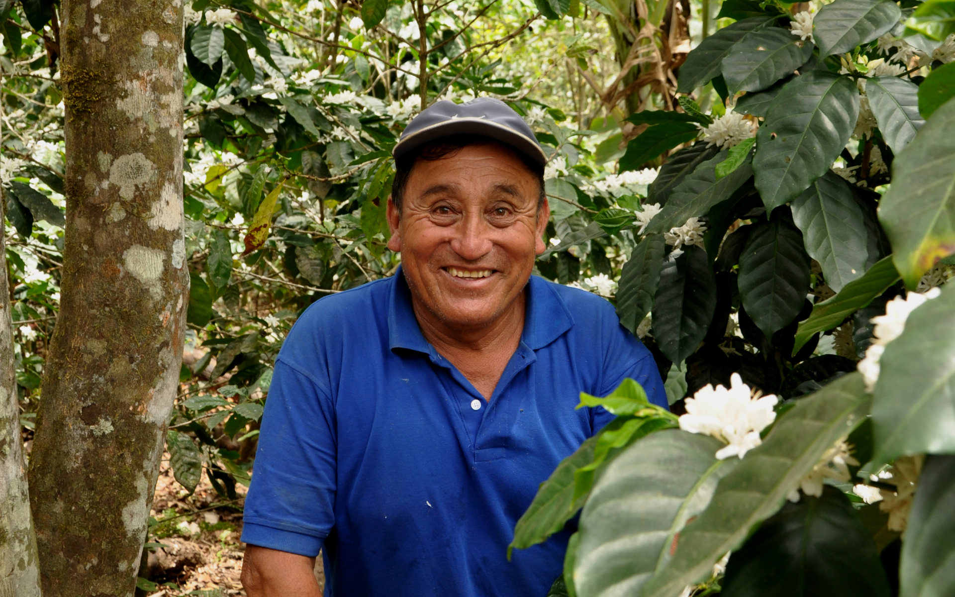 nav-social-justice-home